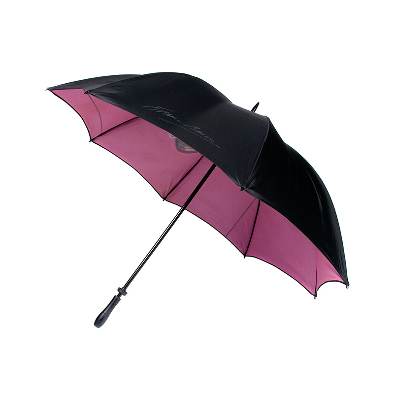 Men's Black Umbrella - The Francis Bacon Shop